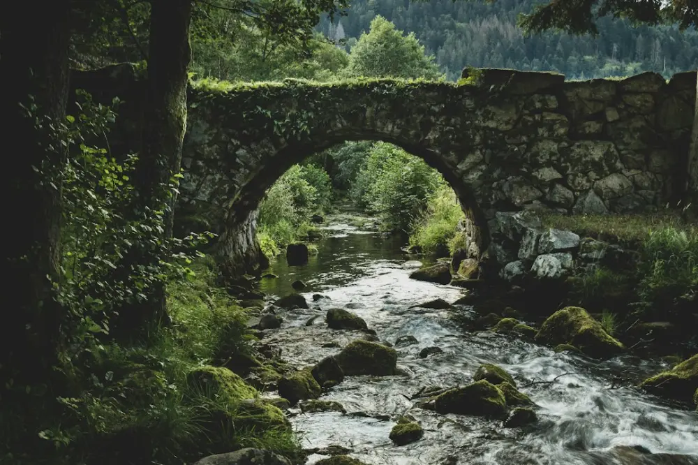 A stone bridge over a stream in a forest, illustrating legacy and perspective